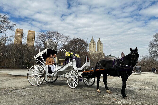 Luxury Horse and Carriage Tours in Central Park - Final Thoughts