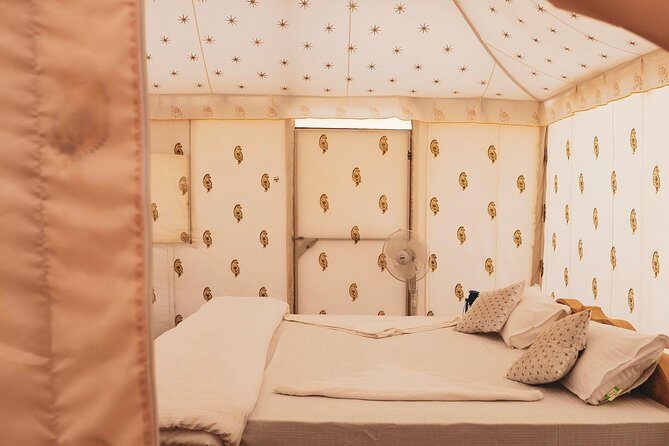 Luxury Overnight Camping Jaisalmer - Arrival at the Desert Camp: Culture and Comfort