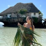 Luxury Tour to DOLPHINS, KUZA CAVE and THE ROCK RESTAURANT - What’s Included and What to Keep in Mind