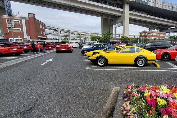 Luxury van Ride to famous car meet up spot Daikoku - Who Should Book This Tour?
