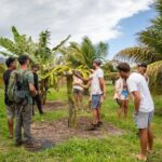Macnut Tour, Picnic lunch and Maui Bees - Authenticity and Expert Guides