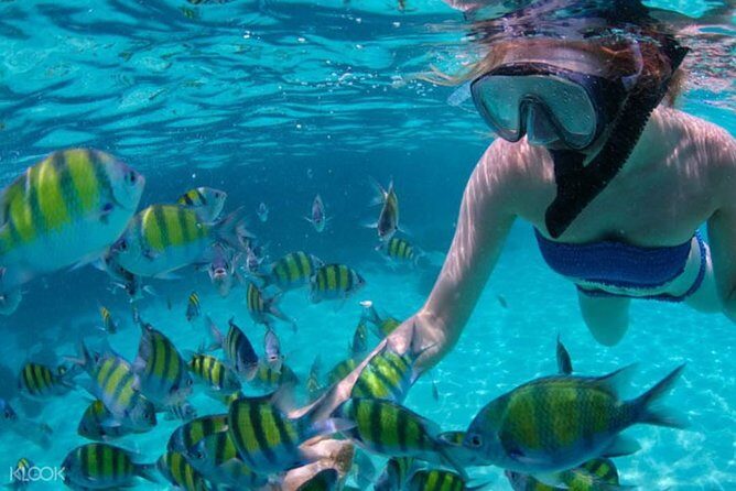 Mactan Cebu Island Hopping with Lunch - Gilutungan, Caohagan, Nalusuan - The Value of Included Features
