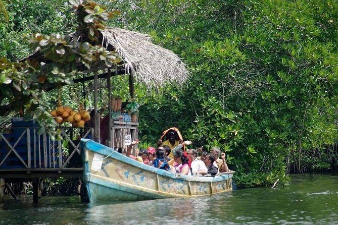 Madu River Boat Safari Balapitiya - The Sum Up: A Worthwhile, Authentic Experience