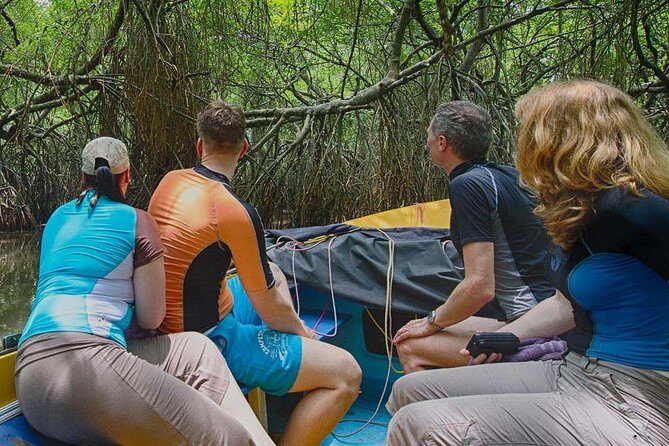 Madu River Safari at Balapitiya - Who Would Love This Tour?