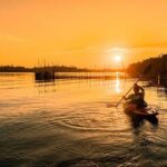 Madu River Sunrise Mangrove Kayaking from Colombo - Value and Practical Considerations