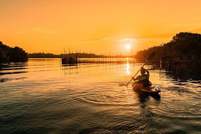 Madu River Sunrise Mangrove Kayaking from Colombo - Value and Practical Considerations