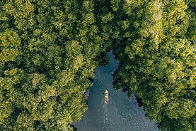 Madu River Sunrise Mangrove Kayaking - How the Experience Fits Together