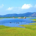 Maduru Oya National Park Private Safari with Naturalist - The Sum Up