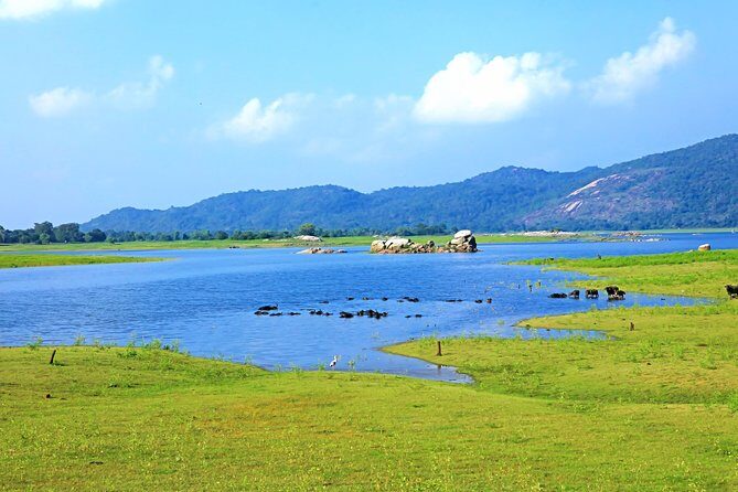 Maduru Oya National Park Private Safari with Naturalist - The Sum Up