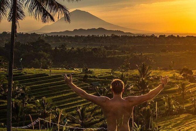 Magical Ubud Rice Terrace Tour (Private & All-Inclusive) - Why This Tour Offers Great Value