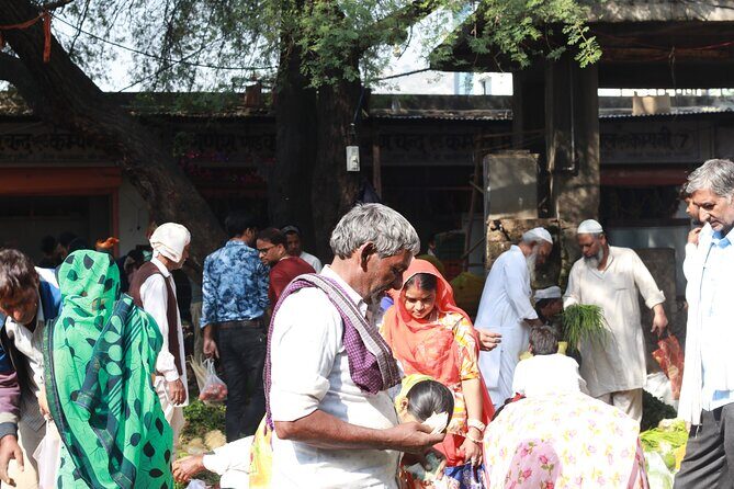 Magical Walk of Jaipur - Who Should Consider This Tour?