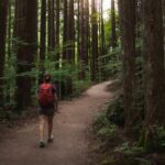 Magome & Tsumago Nakasendo Trail Day Hike with Government-Licensed Guide - Practical Details: What to Expect