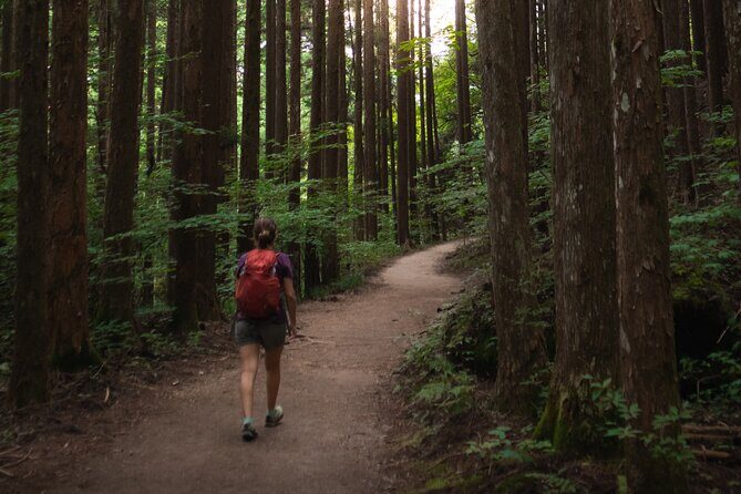 Magome & Tsumago Nakasendo Trail Day Hike with Government-Licensed Guide - Practical Details: What to Expect