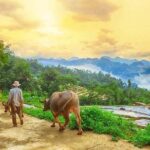 MAI CHAU 1 DAY TOUR | HIDDEN CHARM | SHARED or PRIVATE OPTIONS - What’s the Value?