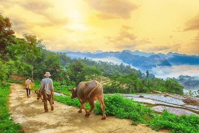 MAI CHAU 1 DAY TOUR | HIDDEN CHARM | SHARED or PRIVATE OPTIONS - What’s the Value?