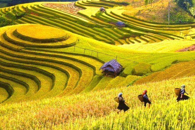 Mai Chau 2 Days Group Tour - Final Thoughts: Is This Tour Right for You?