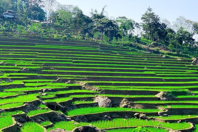 Mai Chau - Pu Luong 2 days - Potential Drawbacks & Considerations