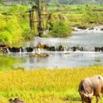 Mai Chau - Pu Luong trekking 3 days 2 nights - Day 3: Scenic Trek and Return to Hanoi