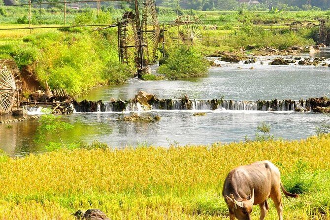 Mai Chau - Pu Luong trekking 3 days 2 nights - Day 3: Scenic Trek and Return to Hanoi