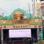 Majang Meat Market Experience: Private Tour with BBQ & Pub Add-On - Exploring Korea’s Largest Meat Market