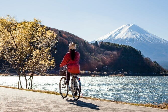Majestic Mount Fuji: Exclusive Private Day Tour - Who Should Consider This Tour?