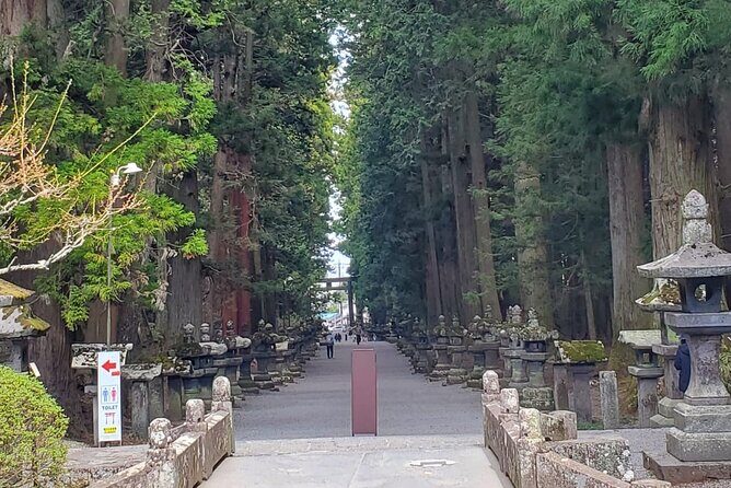 Majestic Mt. Fuji & Hakone Retreat A Private Day Tour from Tokyo - Authentic Insights from Tour Reviews
