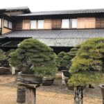 Make your own BONSAI with a professional artist in Tokyo - Who This Tour Is Best For