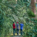 Malaysia: Penang Habitat Entry Ticket - Authentic Insights from Visitors