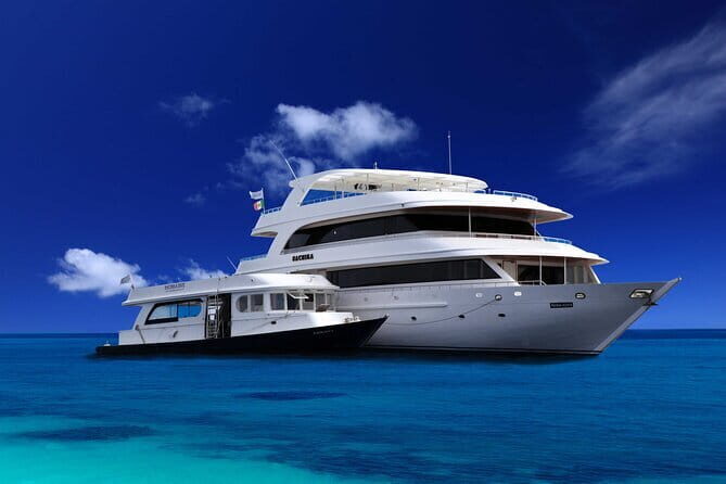 Maldives Dive Cruise Central Atolls Adventure - Practical Considerations