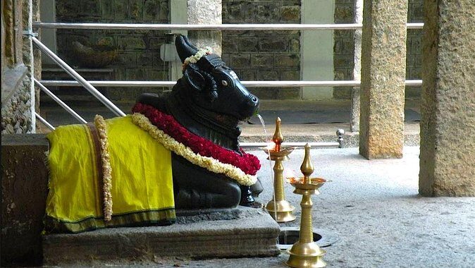Malleswaram heritage walk, an immersive walking tour in Bangalore - Practicalities and Value