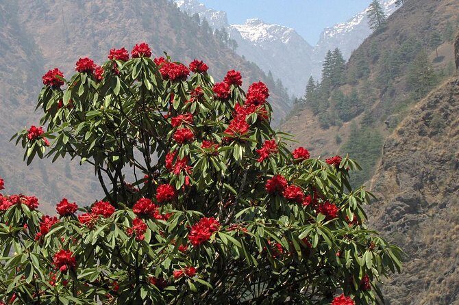 Manaslu Circuit Trek - Who Should Consider This Trek?