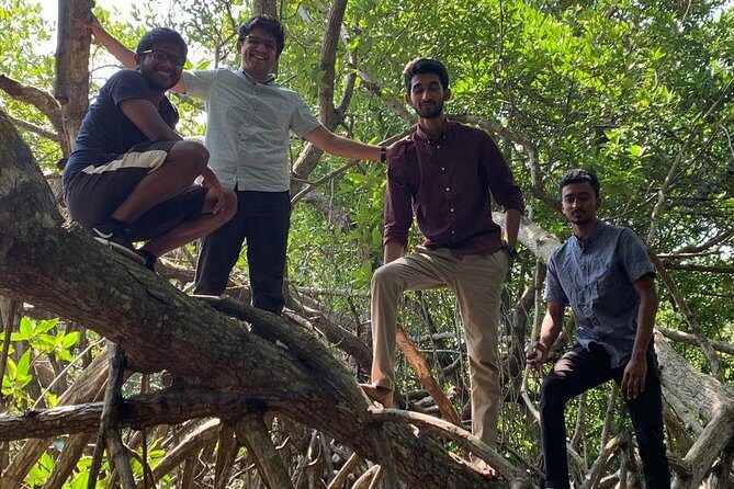 Mangrove Adventure - Practical Details and Tips