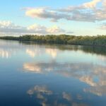 Mangrove and Gulf Excursion Tour - The Experience Providers and Practical Details
