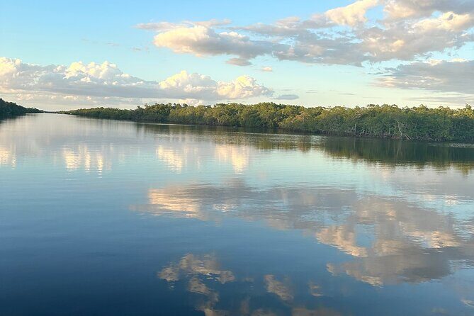 Mangrove and Gulf Excursion Tour - The Experience Providers and Practical Details