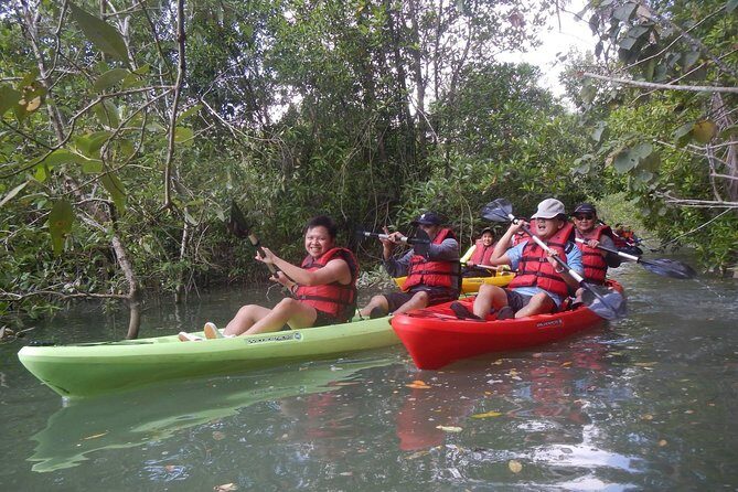 Mangrove Kayaking Adventure in Singapore - Final Thoughts