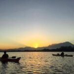 Mangrove Kayaking Experience in Borneo - Why This Tour Offers Great Value for Money