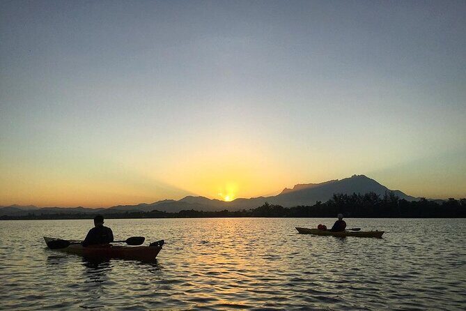 Mangrove Kayaking Experience in Borneo - Why This Tour Offers Great Value for Money