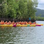 Mangrove Kayaking Tour from Langkawi - Key Points