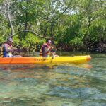 Mangroves Kayaking At Havelock - Authentic Insights from Past Travelers