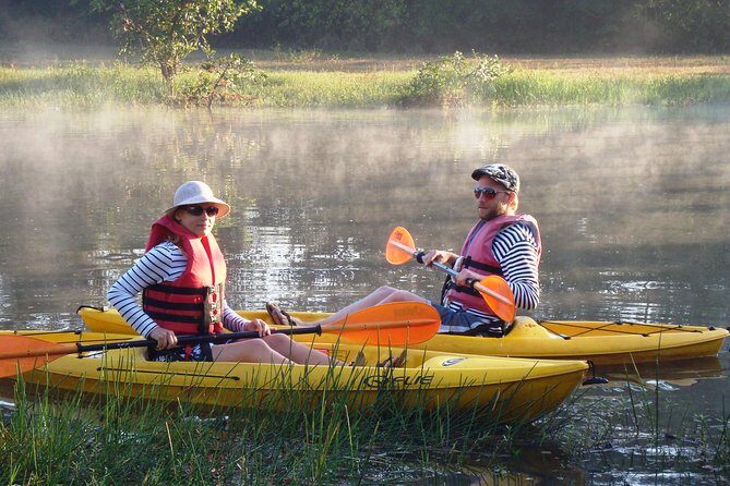 Mangroves Magic Goa Kayaking Experience - What is the Mangroves Magic Goa Kayaking Experience?