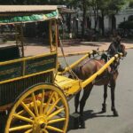 Manila City Intramuros Tour & famous highlights - Who Will Love This Tour?