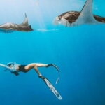 Manta Point Snorkeling & West Nusa Penida Island Day Tour - Who Should Consider This Tour?