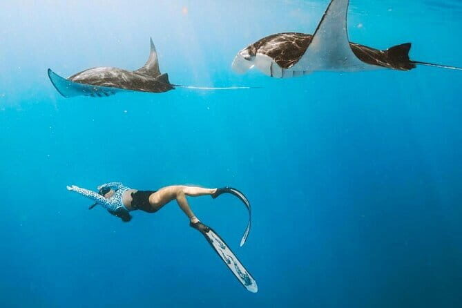 Manta Point Snorkeling & West Nusa Penida Island Day Tour - Who Should Consider This Tour?