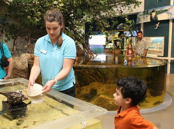 Marco Island Mangrove Tunnel and Maze Adventure Small group size - The Itinerary in Detail