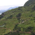 Mardi Himal Base Camp Trek (5 Days) - What’s Included and What to Consider