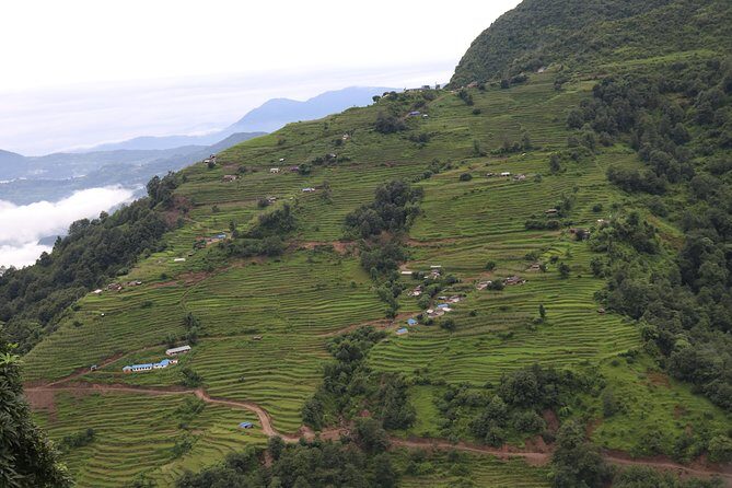 Mardi Himal Base Camp Trek (5 Days) - What’s Included and What to Consider