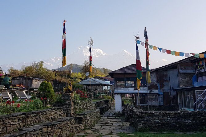 Mardi Himal Trek - Practical Details and Value