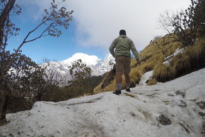 Mardi Himal Trekking - What Is the Mardi Himal Trek?