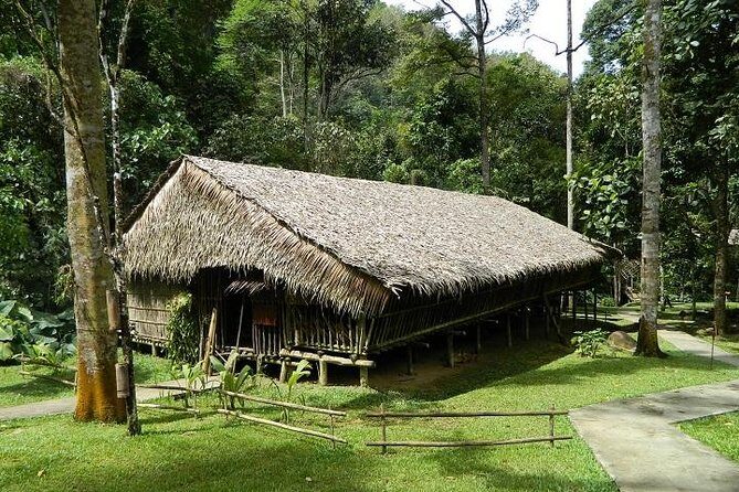 Mari-Mari Cultural Village Tour Including Lunch - What Real Travelers Say