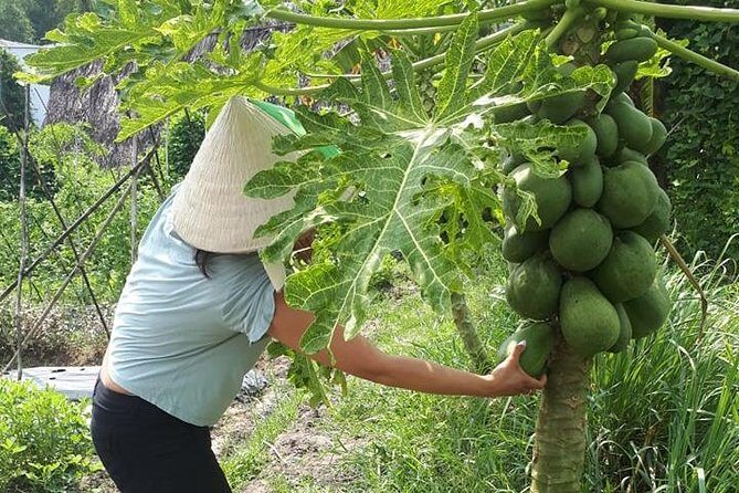 Market to Farm to Table Cooking Class in saigon - Who Would Love This Experience?